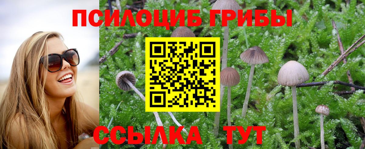 Галлюциногенные грибы Psilocybe  Вход с VPN  Тимашёвск 