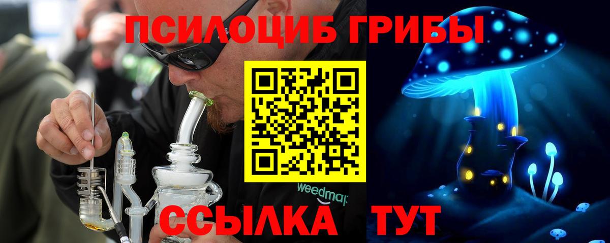 Галлюциногенные грибы GOLDEN TEACHER Тимашёвск